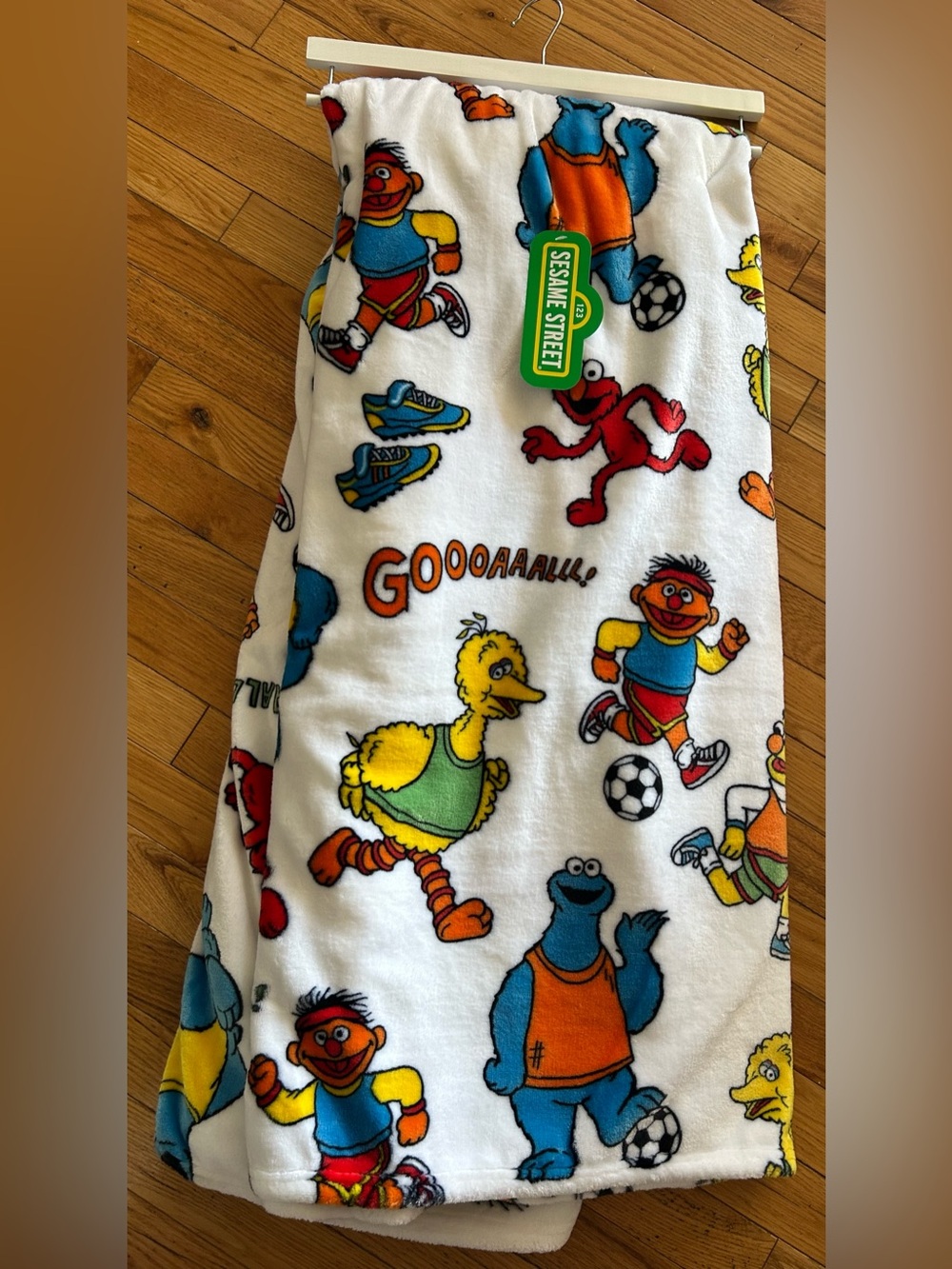 Sesame Street Multicolor Character Soccer Plush Throw - NWT